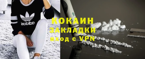 индика Армянск