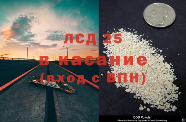 молекула духа Арсеньев