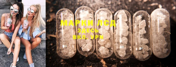 молекула духа Арсеньев