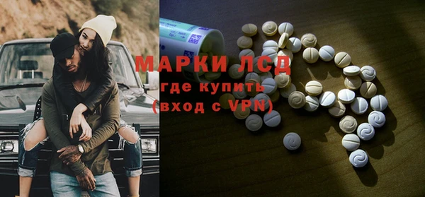 молекула духа Арсеньев