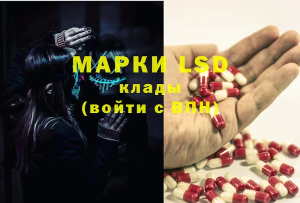 молекула духа Арсеньев