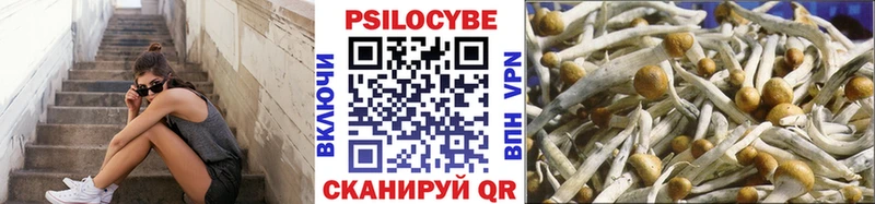 Галлюциногенные грибы Cubensis  Лукоянов 